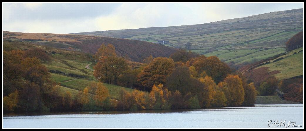Digley in Autumn: Photograph by Steve Milner