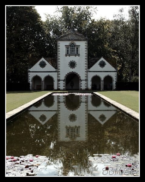 The Lily Pond: Photograph by Steve Milner The Lily Pond: Photograph by Steve Milner