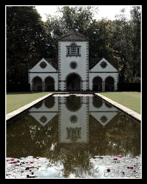 The Lily Pond: Photograph by Steve Milner