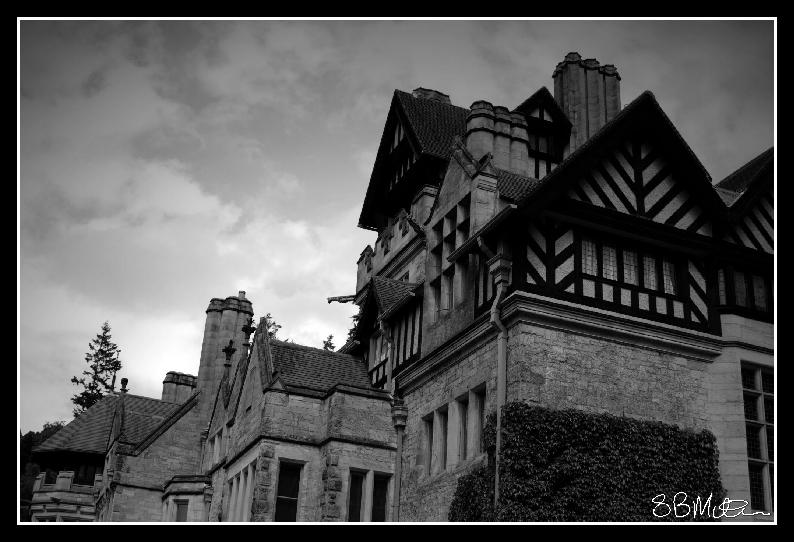 Eyrie: Photograph by Steve Milner Eyrie: Photograph by Steve Milner