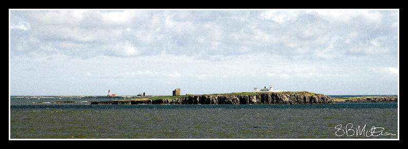 The Farne Isles: Photograph by Steve Milner