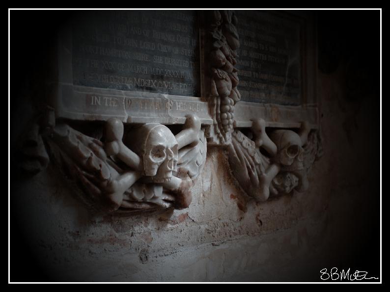 Skull and Bones: Photograph by Steve Milner