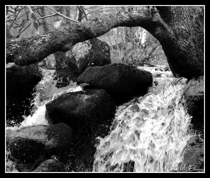 Waterfall: Photograph by Steve Milner