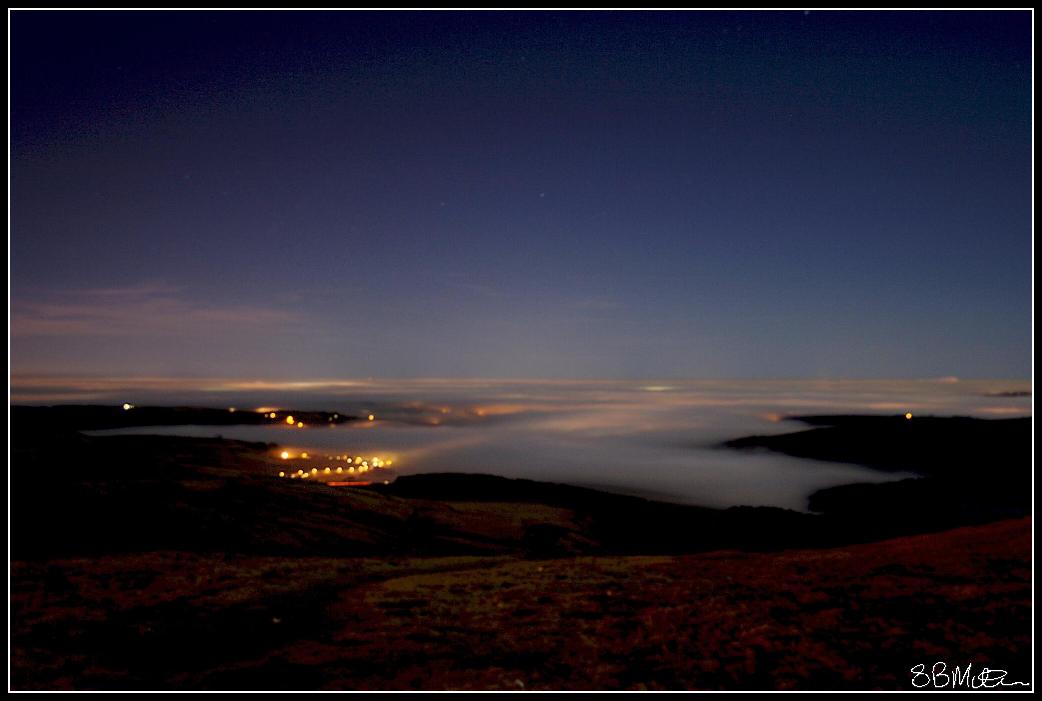 Moonlight Mist: Photograph by Steve Milner