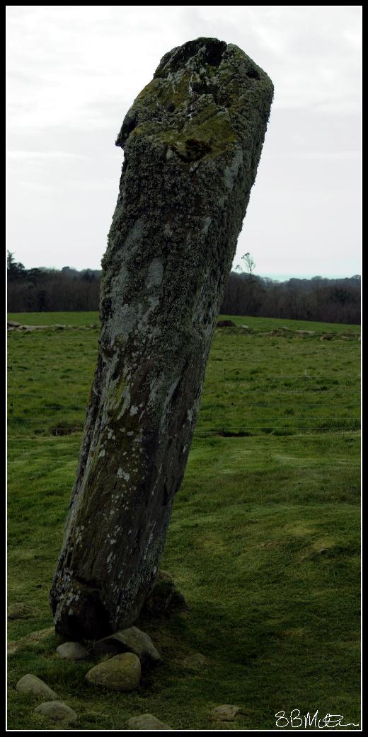 Standing Stones: Photograph by Steve Milner