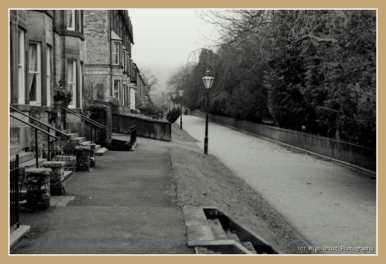 Avenue: Photograph by Stephen Milner