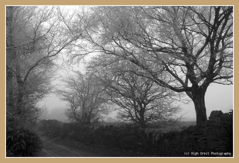 Holme Frost: Photograph by Stephen Milner