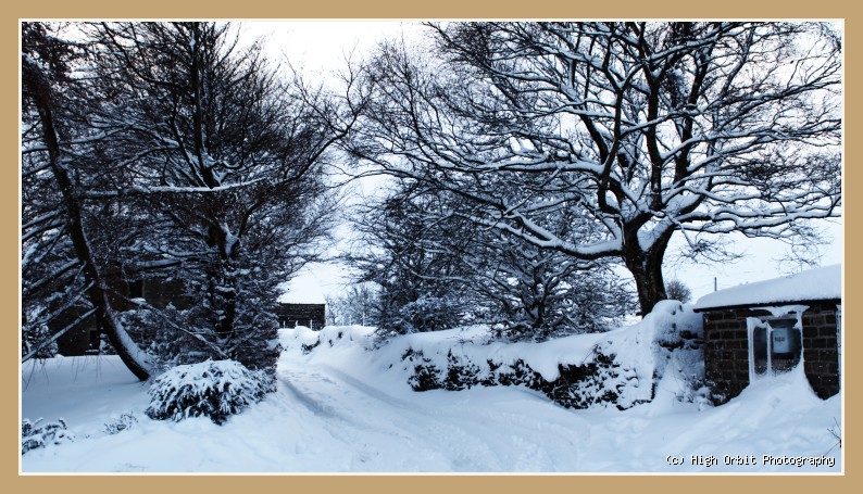Snow: Photograph by Stephen Milner